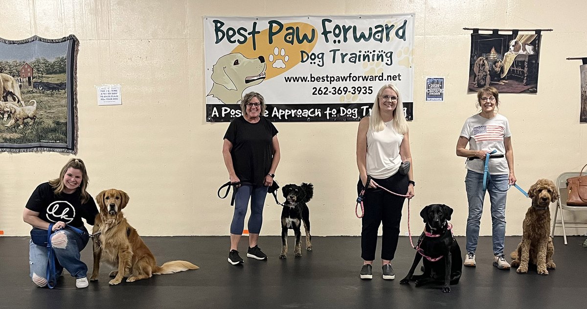bestpawforwardw's tweet photo. Congrats #IntrotoTherapy grads! These dogs and their handlers got more insight into what being a Therapy Team really entails and were able to get an idea if that was something for which they and their dogs would be well suited. #GradPhotos #dogs #skills #temperament https://t.co/U31b7KcW5p