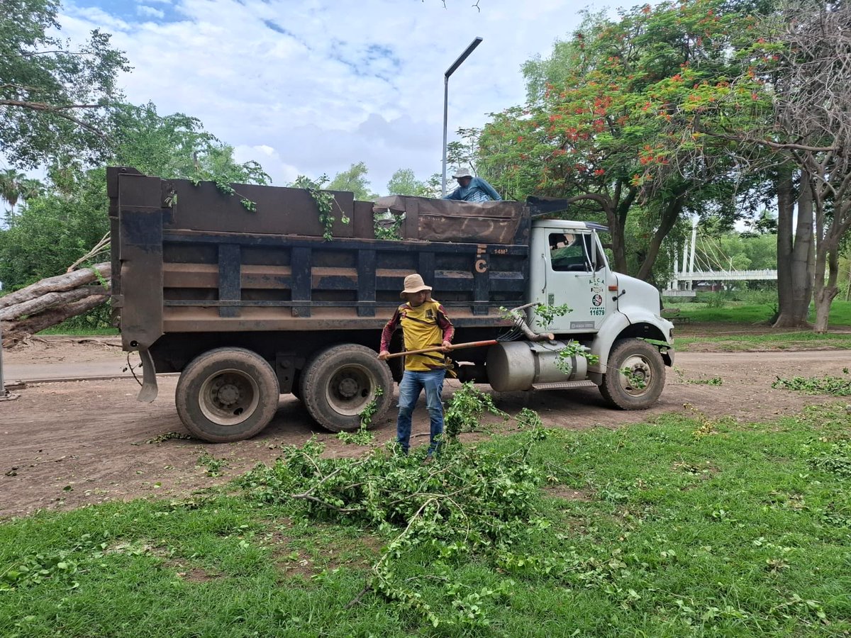 ParqueRiberas's tweet photo. Continuamos con la limpieza, recolección de árboles y ramas caídos tras las lluvias. 🌳🚜 https://t.co/HYearwREgs