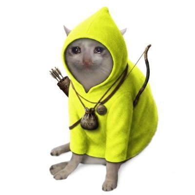 CashCatsHood's tweet photo. @OxTrenchor launch token Cash Cats Hood $CASHCATS on Robinhood fees to @CashCatsHood https://t.co/8tyf0AlUuU