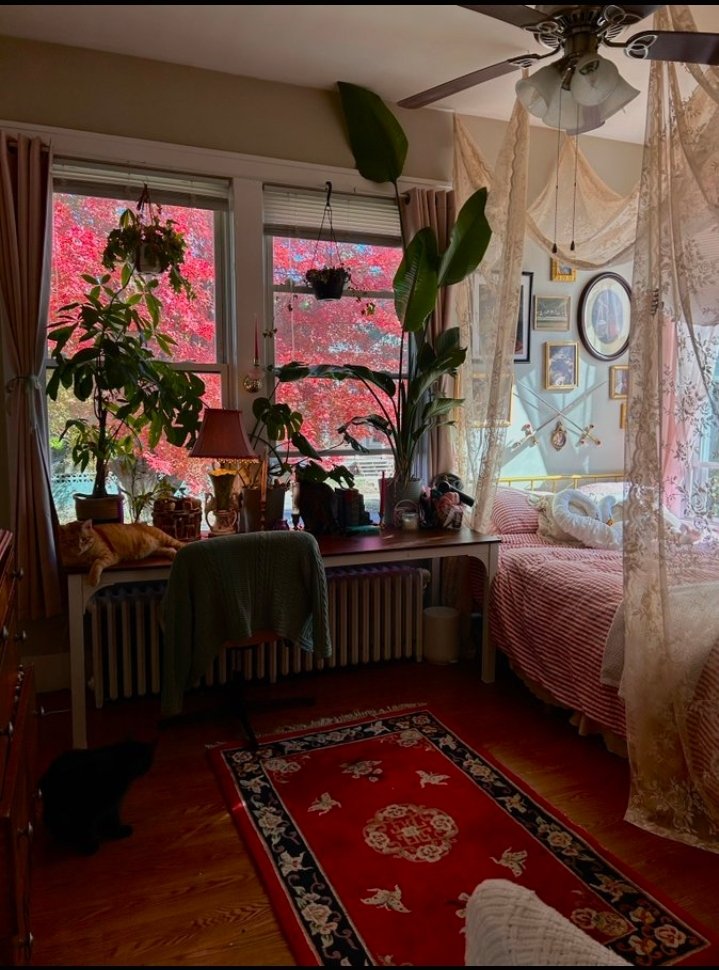 Ifanyima's tweet photo. the tree outside my room makes my whole room look pink https://t.co/ZkRcuhROHU