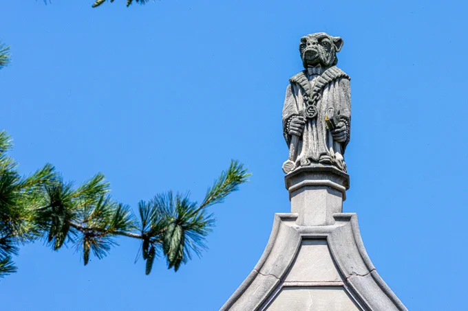 A stone sculpture of a bulldog dressed in a judge's robe, holding a scroll and gavel, adorns the peak of a roof against a clear blue sky. Pine branches are visible in the foreground.