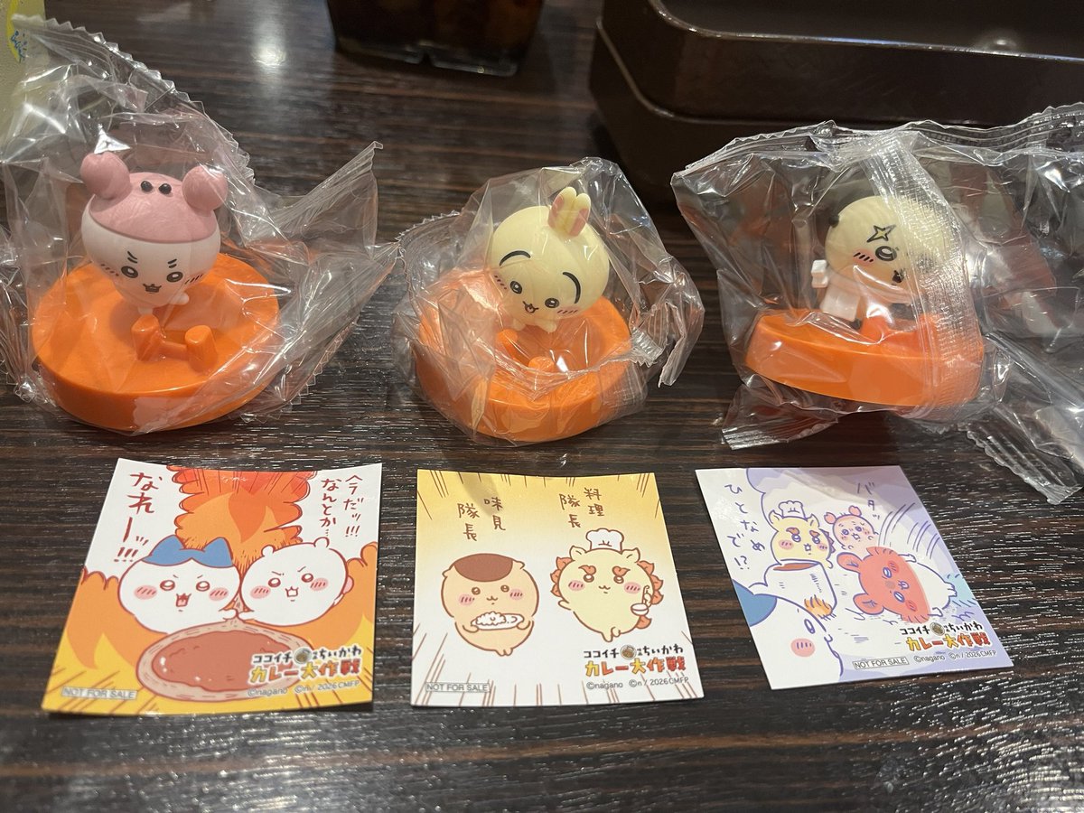 naa_15a_'s tweet photo. 無事にうさぎお迎え🐰 https://t.co/8JJzxz5upy