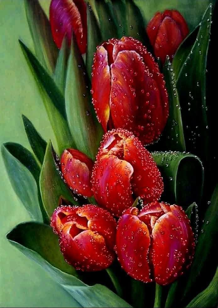 AtliHussein's tweet photo. @RINOCAR La belleza de tu corazón es el estándar... Gracias. https://t.co/Ypq4g677iC