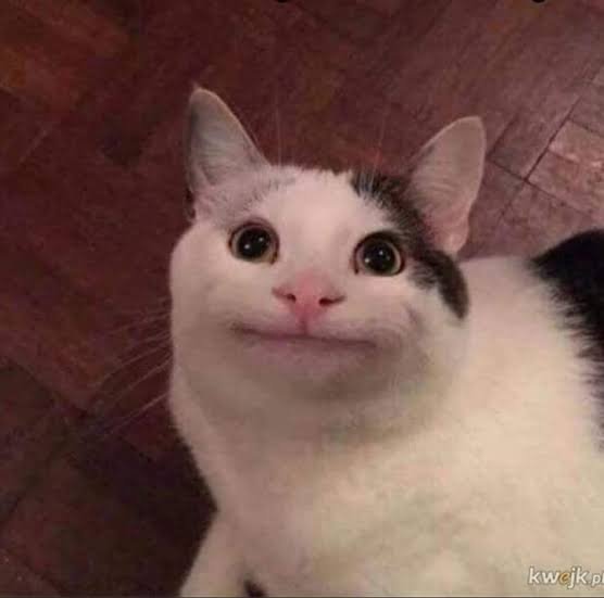 mgabrielmb_'s tweet photo. @aUsercaat Vamos ter duas filhas. Aí a gente coloca o nome de uma de Aurora e outra de Aneliesse https://t.co/tKvv6Qz4EE