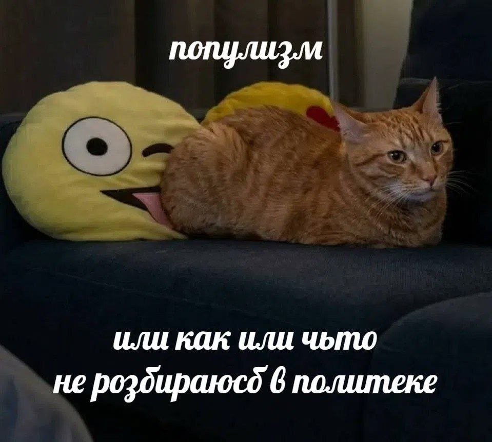 catsilcats's tweet photo. https://t.co/PeBvVtdYML