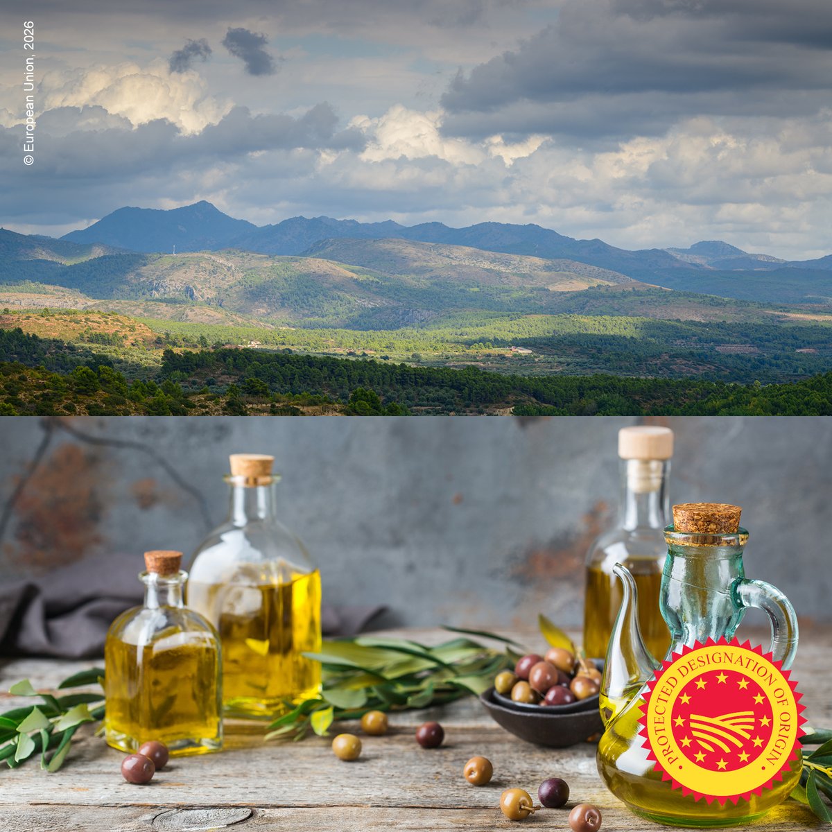 EUAgri's tweet photo. 🇪🇺 New Protected Geographical Indications registered:

🇪🇸 Pernil Cerretà PGI
🇪🇸 Aceite de las Sierras Espadán y Calderona PDO
🇵🇱 Jabłka krajeńskie PGI
🇵🇱 Kiełbasa pradziada z Dukli PGI

Discover more on GIs 👉 https://t.co/BL99VE8obA
#EUQuality https://t.co/RhUkV4YFtp