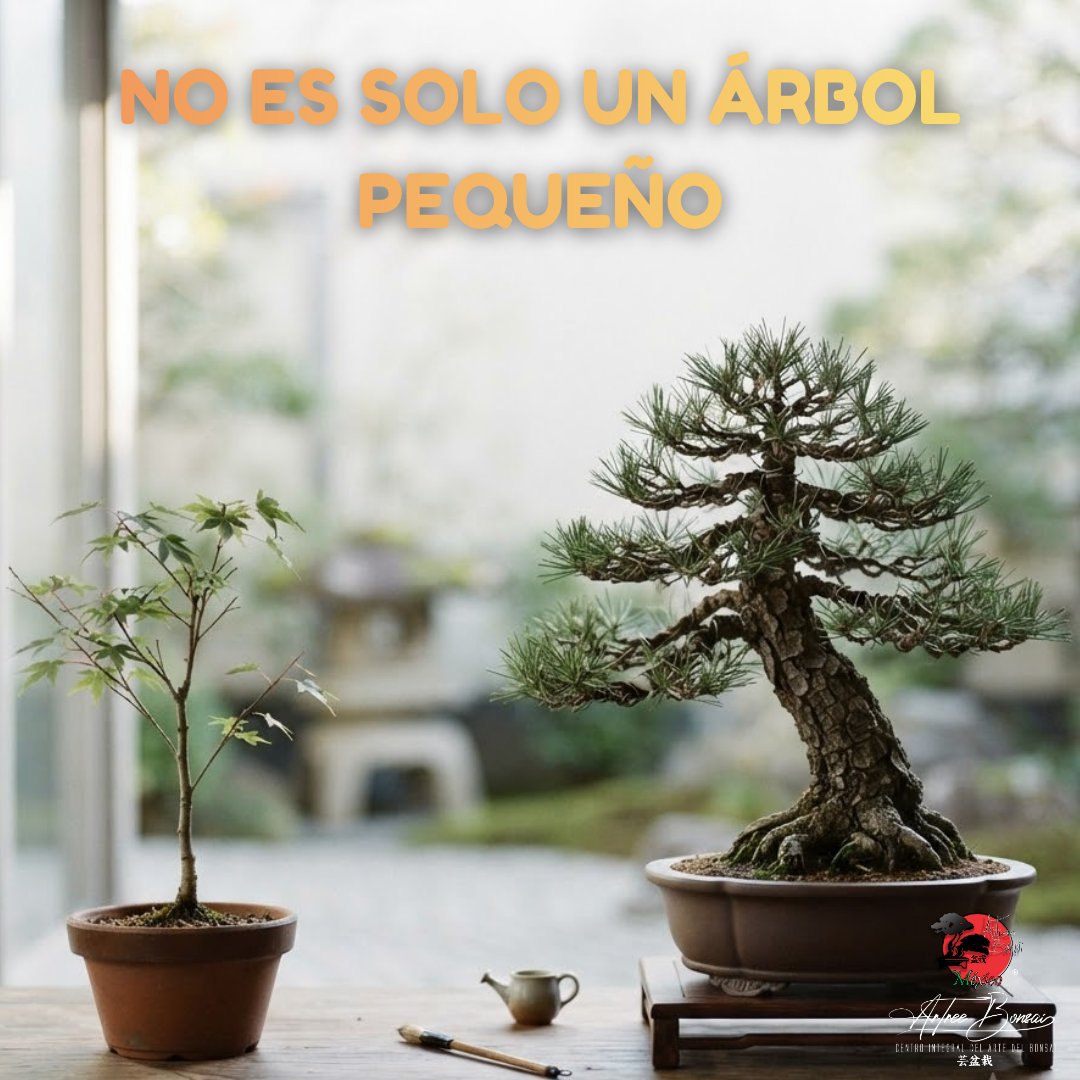 artreebonsai's tweet photo. Hay una diferencia enorme entre tener un árbol pequeño... y tener un bonsái.
No todo árbol en una maceta es un bonsái. Un bonsái transmite equilibrio, movimiento, proporción, madurez. La maceta es solo el recipiente.
El tamaño no hace un bonsái. El diseño sí. https://t.co/cuCrPZQUWQ