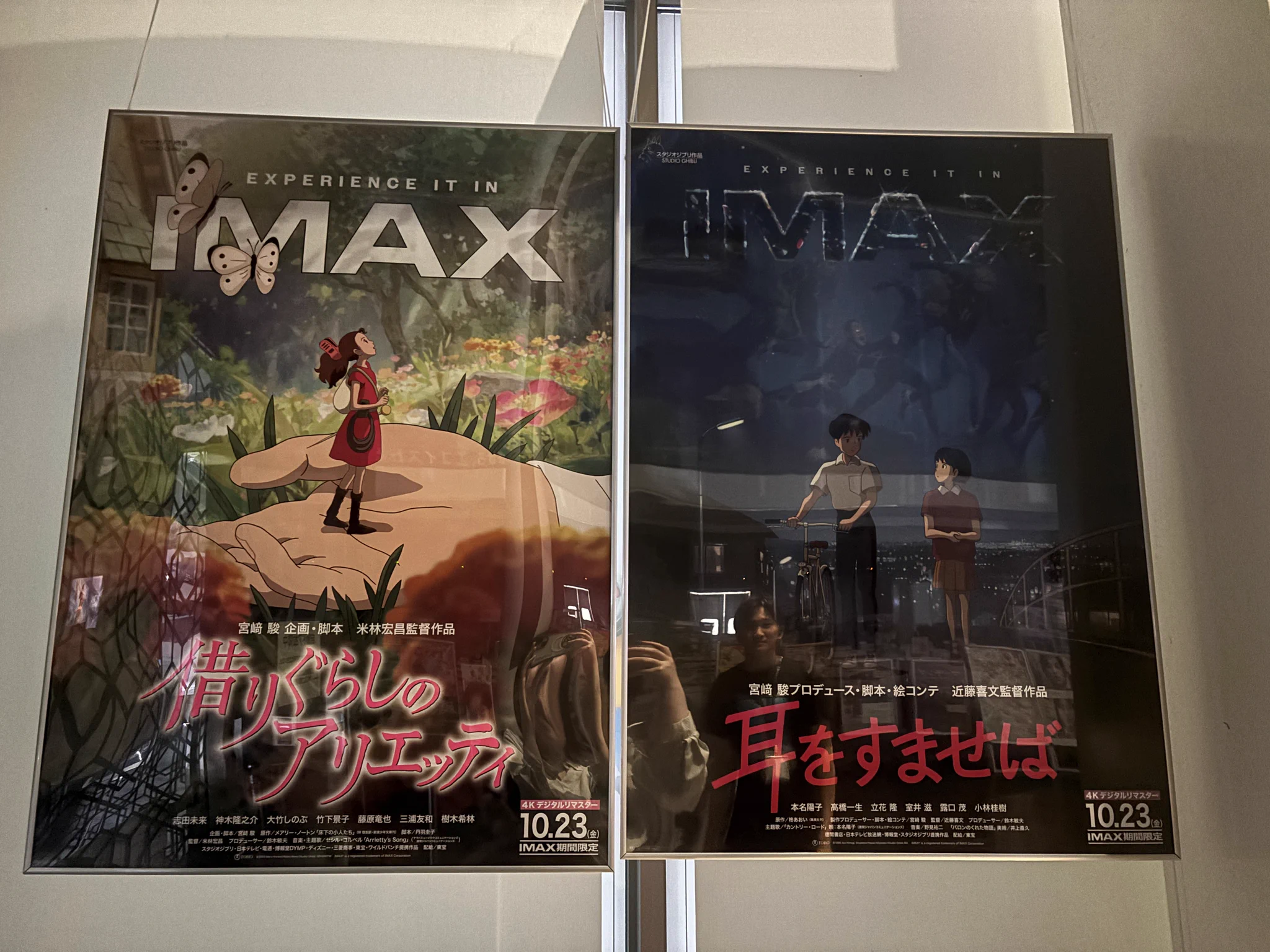 109シネマズ大阪エキスポシティ on X: 