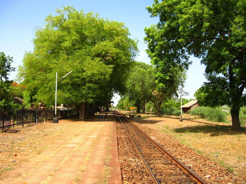 VDLRailusers's tweet photo. @rail_vandi Most of the stations were beautiful and having full of Banyan and Tamarind trees during MG days.
In the Pic: Vaitheeswaran Koil during MG period.
PC: IRFCA website https://t.co/BeW20DVA4O