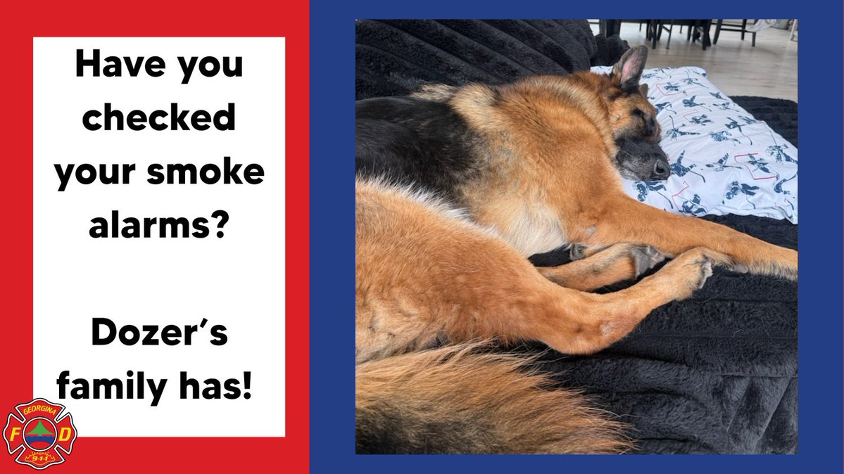 georginafire's tweet photo. Dozer is sleeping soundly because his family tested their smoke alarms this month.
Testing your alarms takes less than a minute and could save your life.
🐾 Dozer's family is ready. Is yours?
Test your smoke alarms monthly. For more info, visit https://t.co/huPrGPJb8z #FireSafety https://t.co/MVr2uSxGxp