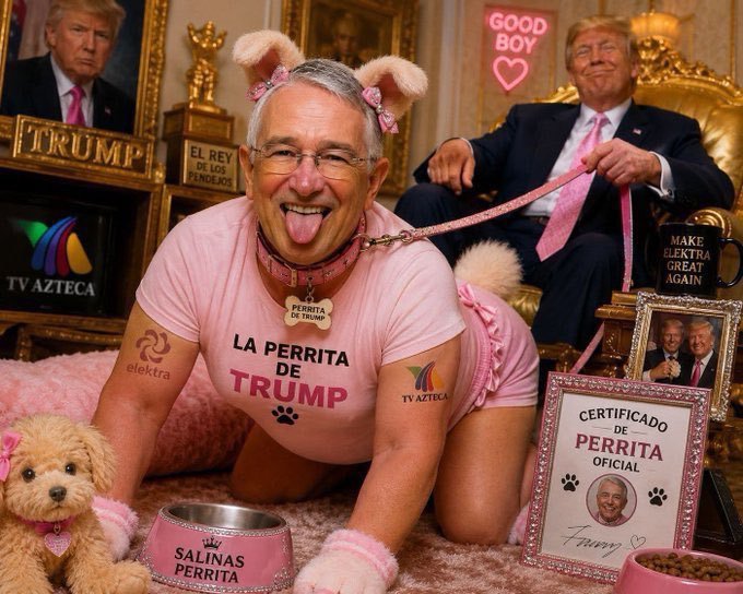 Gabriel260395's tweet photo. @RicardoBSalinas @RicardoBSalinas PUES VETE ALLA A CHINGAR A TU PERRA MADRE #PERRITADETRUMP https://t.co/5GQnBuARgb