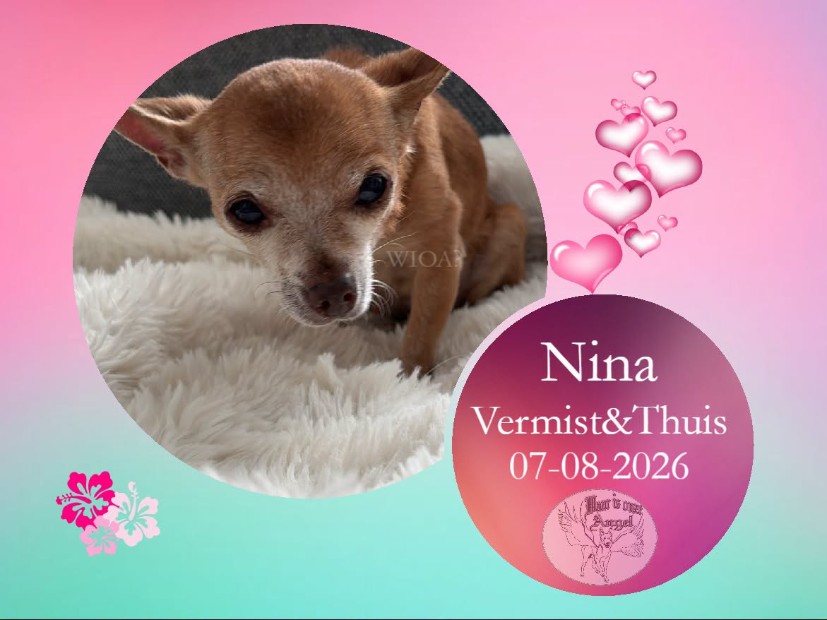 waarisonzeangel's tweet photo. Nina uit #BergenopZoom #NoordBrabant is weer #Gevonden 
https://t.co/1FJwd9vq0k

Donaties aan onze stichting welkom via verdubbelaar
https://t.co/H9cHsSGiSD https://t.co/jYrbhx26SK