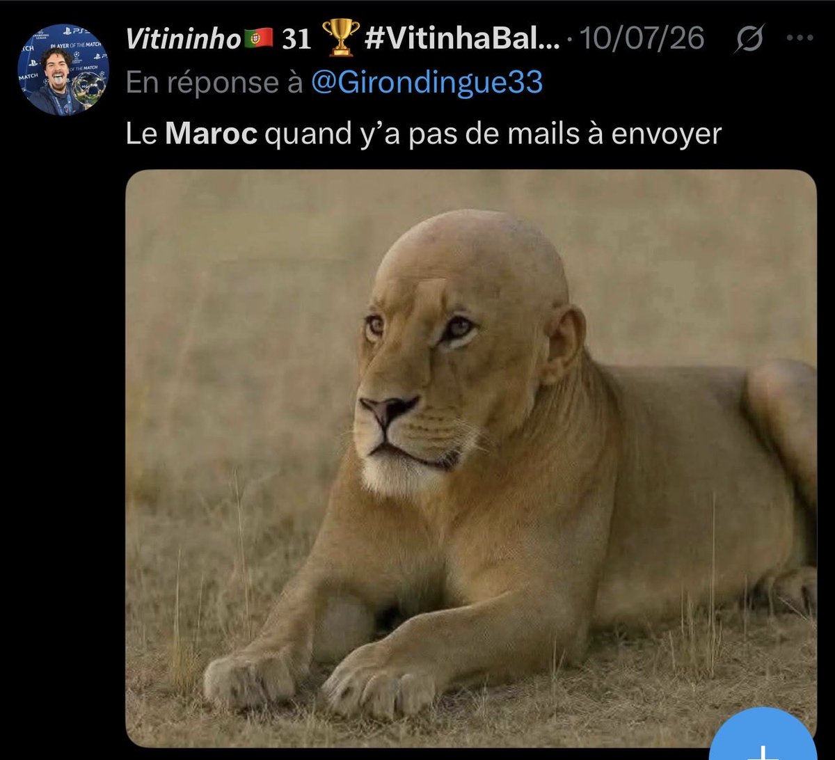 vcommevv's tweet photo. Lui c’est le pire raciste anti Maroc on le hante dans sa tête en plus il est pas drôle avec ses tweets d ado attardé https://t.co/vA1jws9FSh