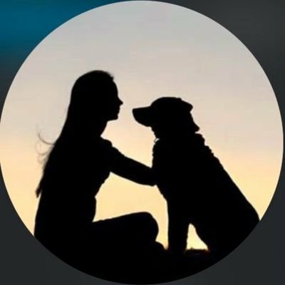 MusaSul72953615's tweet photo. Zoo model who gives pleasure to her dogs because she likes it so much dog!
TELEGRAM  https://t.co/qpOLcBZrmG

#zoophillia #zoosarevalid #beastiality #dogknot #zooprideisvalid #zoophile
#antizoo #antizoophileantizoo #k9girl
#zoopride
#zoophilepride #zoopositivity https://t.co/IfxWo0sUa6