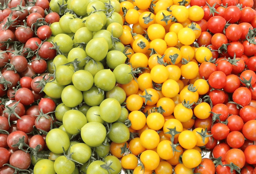 SabiMatharu1's tweet photo. This cherry tomato mix from local farms is game-changer—sun-ripened, juicy, and packed with sweetness, perfect for salads or snacking! 10/10 would repurchase. https://t.co/1ARkdNyelu