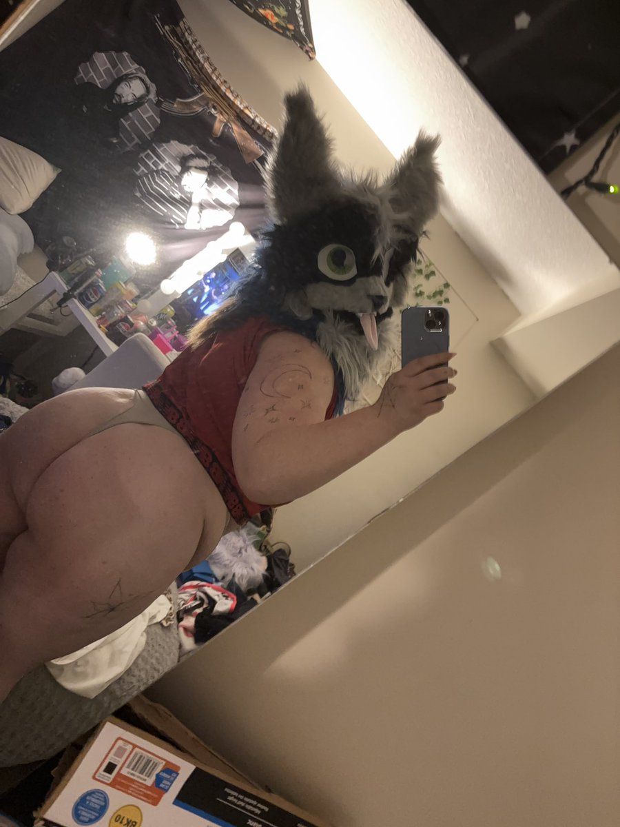 unleashedmalice's tweet photo. Kitty ass😼
#furrynsfw #nsfw #furryass #phatass #catfurry #bigbooty https://t.co/kgaAbSC3Kp