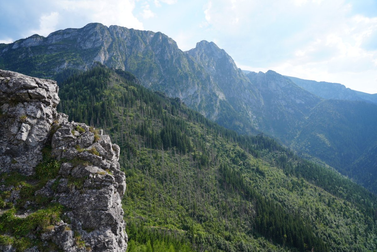 Kami61360935's tweet photo. @Spiacyy_Rycerz Śpiący Rycerz uchwycony z Sarniej Skały. Pozdrawiam 😉 #Zakopane https://t.co/IhtEqI0Hh9