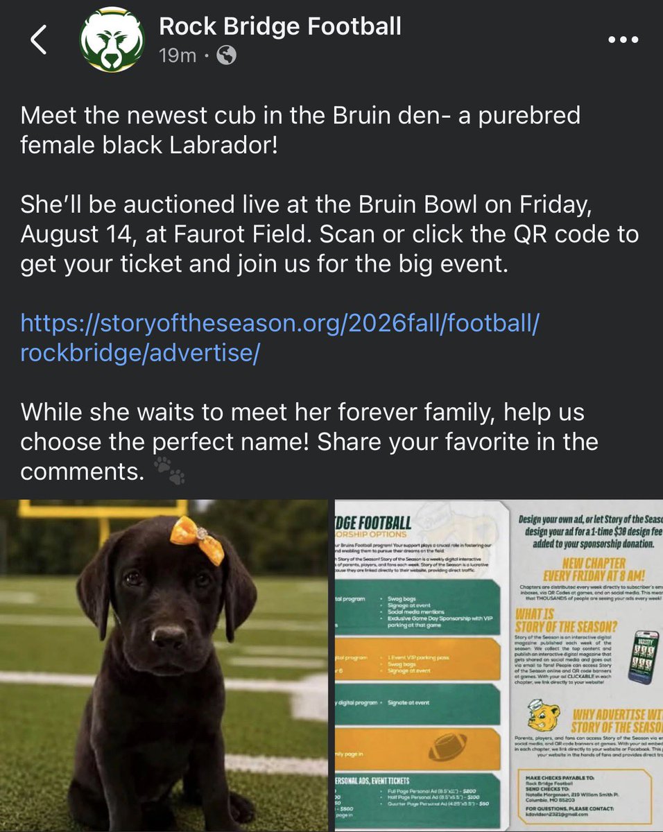 Mizzou2003's tweet photo. Please click the link: https://t.co/o6mSZN7vC8 https://t.co/asDyhitMqP