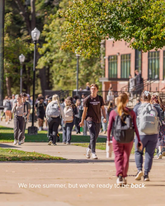 Students walk along a sunny campus pathway lined with trees and lampposts near a brick building.