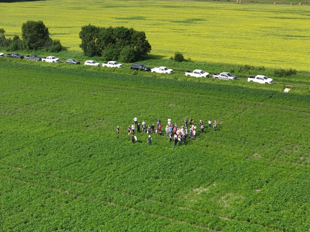 MbPulseGrowers's tweet photo. MPSG's On-Farm Network co-hosted with @mb_cropalliance and @ManitobaCanola near Dauphin an on-farm research tour. We talked at a soybean double vs. single inoculant trial! https://t.co/2dX8cFAC2T