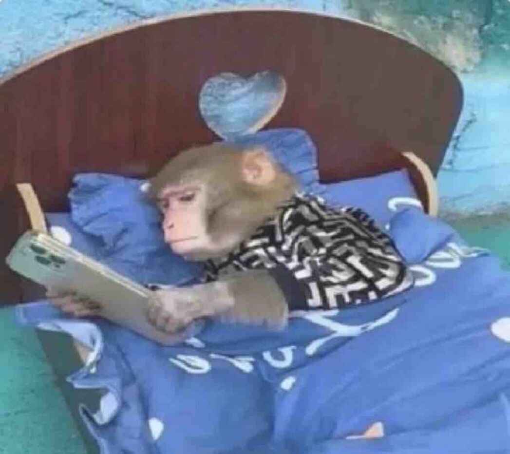 cornulda's tweet photo. “domingo para dormir hasta tarde”

- yo a las 7am: https://t.co/pypRc3vxRv