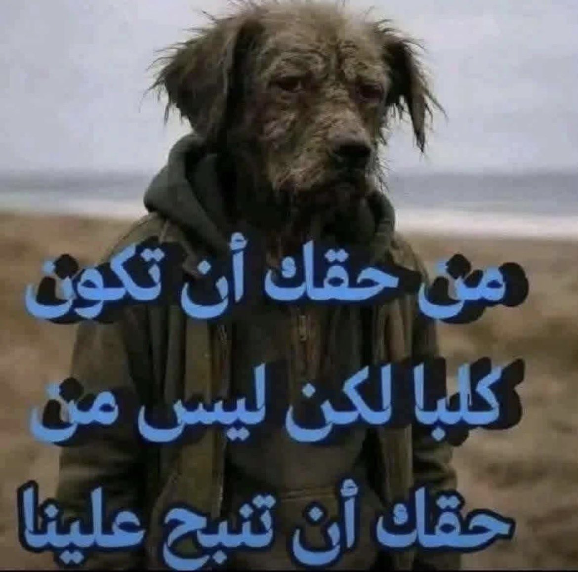yahyamh1's tweet photo. @khaled_mrnf @snlswl279622 @NewsNow4world1 https://t.co/A6qzsUW37v