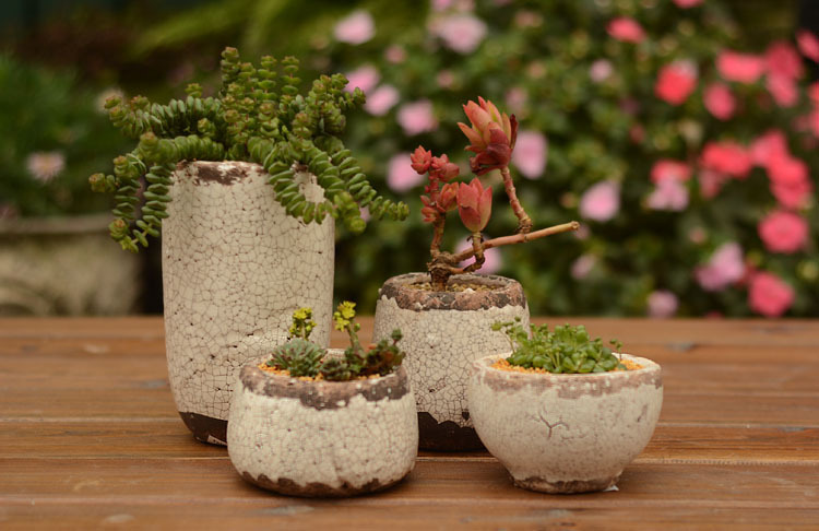 GariVivek's tweet photo. Just finished my DIY terracotta air plant pot! No fancy tools needed—this little guy brings cozy plant vibes to my desk ， https://t.co/buclEK0KlV