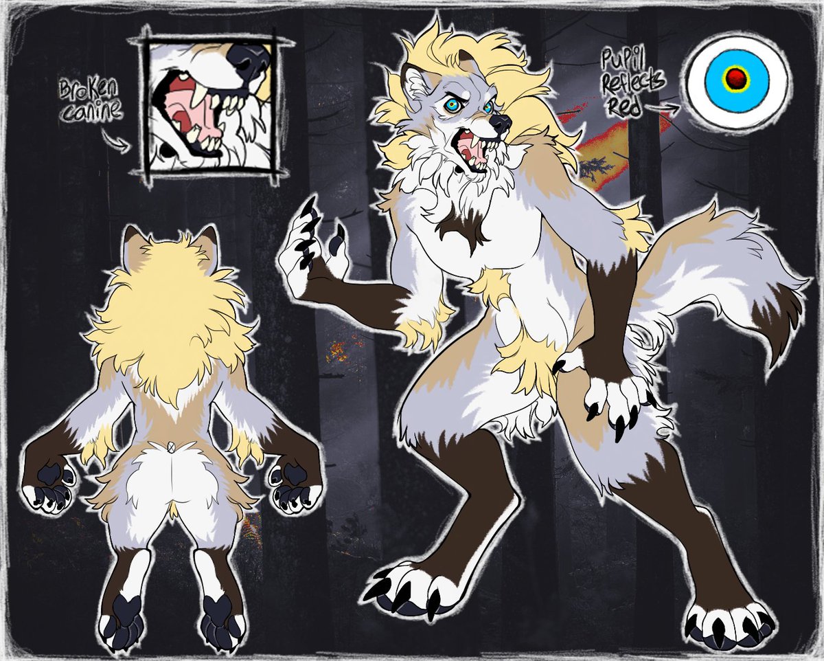 Borkheart's tweet photo. Oh yeah, because I keep forgetting to post it, the original character of "Rekkz Borkheart" is a werewolf character that I've had for a long time, but ended up not rlly connecting with. So I decided to redesign her using some bases I found on deviantart.

The human base is just a chibi I used to get her general human design together. The base is by invidens

And then the werewolf base is by Carmiko