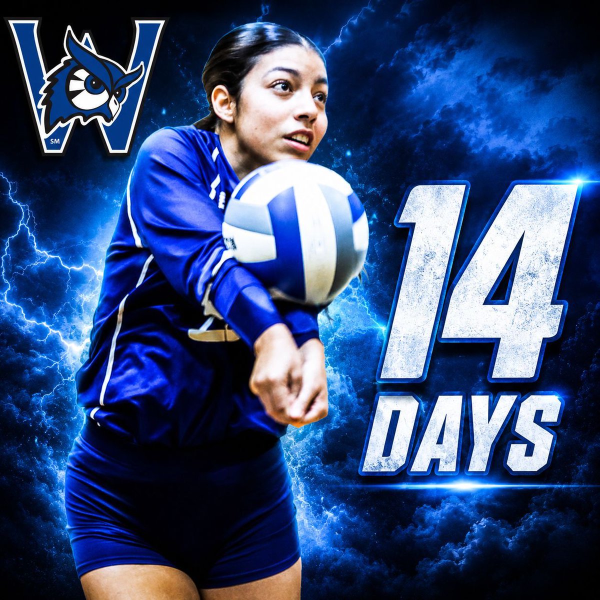 WestfieldOwls's tweet photo. Two. More. Weeks! Women's volleyball is just 14 days away from returning to campus as the Owls begin their preseason on August 21 with their opening match of the season on the first of September! #LetsGoOwls https://t.co/JSjyRcwLVC