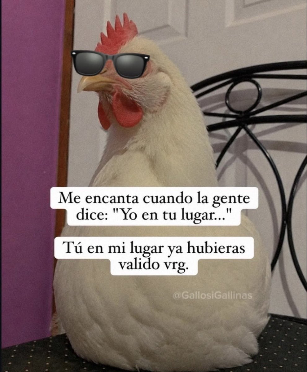 Rodriguez_A_Aid's tweet photo. 👀😎 https://t.co/QoGjvJjma7