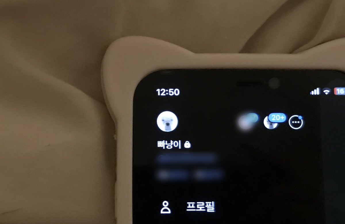 leehanbear's tweet photo. 저의 새 친구분들께 알립니다
제 원래 이름은 사실 ✌️빠냥이 입니다…✌️
(너무 유치해서 비밀로 햇어요)

제한이 걸려서 안바뀌는 관계로
내일 다시 빠냥이로 돌아오겟읍니다… https://t.co/Tiq1nciqOB