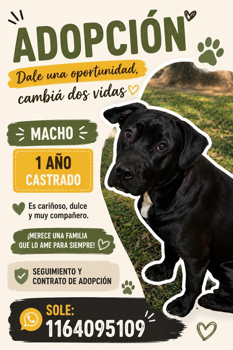 patripeyrou's tweet photo. Difundimos https://t.co/esTHmWThQE