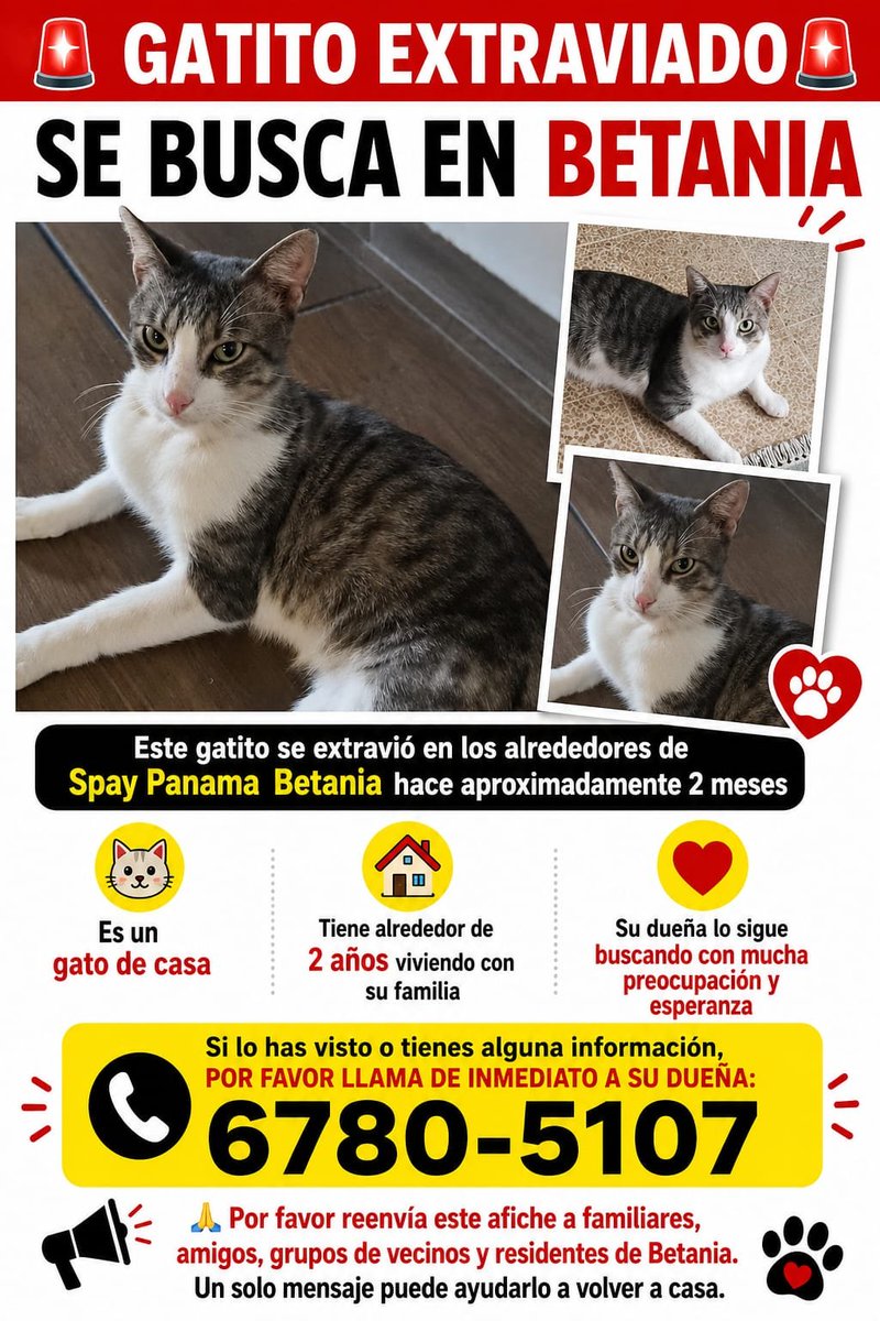 spaypanama's tweet photo. Perdido en Betania por los alrededores de nuestra clínica en Camino Real de Betania.
Por favor su ayuda. https://t.co/FzSvHt2E6f