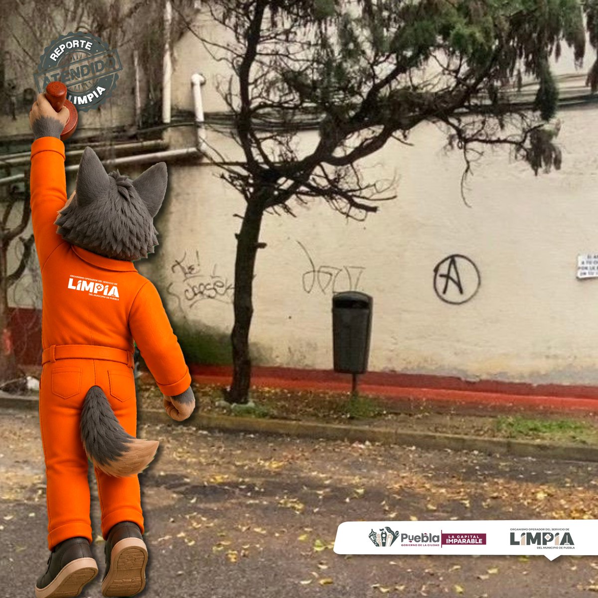 LimpiaPue's tweet photo. @sergionavalle @PueblaAyto #ReporteAtendido ✅
@sergionavalle te informamos que el equipo del organismo de limpia acudió al lugar y realizó la limpieza de la zona. https://t.co/E5AcgW3kuX