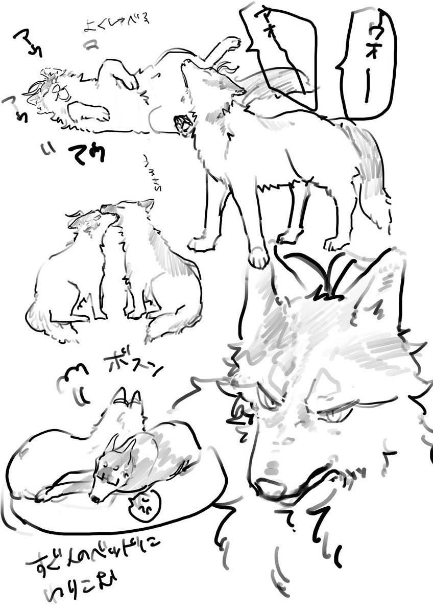 hasei_0000's tweet photo. 犬 https://t.co/pOSLCflqya