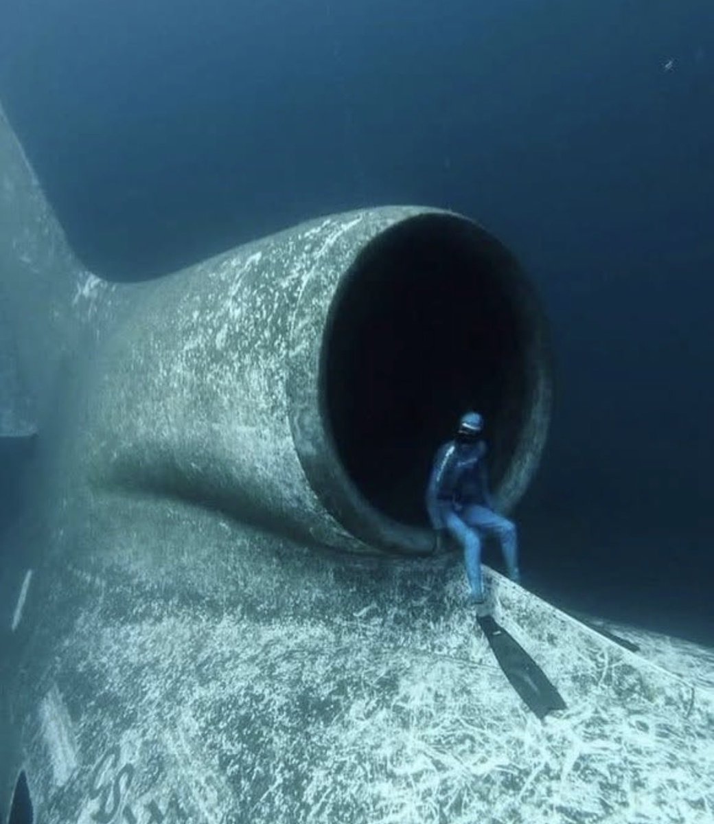 LizThatGirlCA's tweet photo. You can actually dive a sunken airliner off the coast of Jordan! 🤷♀️🤪 #whataworld https://t.co/QGiEd0jGlR