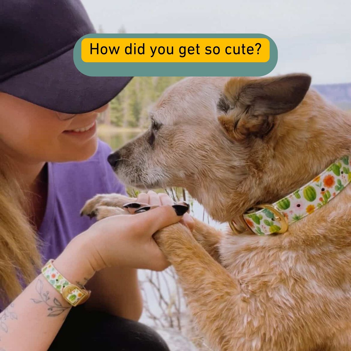 FCollars's tweet photo. "You thought I was the one taking care of you...but you were the one taking care of me."
We interviewed Madi &amp; Penny from @rufflife.to.goodlife, to learn more about this adorable duo.
Check their story here: https://t.co/QpbAj68J7w https://t.co/XSXdqsq7wZ