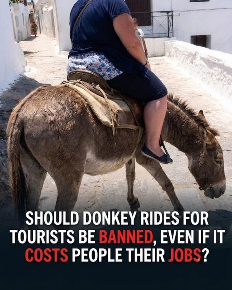 Protect_Wldlife's tweet photo. Tourists ~ #DontBuyATicket! 🚫

Animals are NOT ours to use and abuse!

For ages, working donkeys have carried vacationers across historic villages and steep lanes, serving as a key financial lifeline for local residents.

However, rising concerns question whether this practice should persist when animals endure heavy loads and harsh weather. Animal advocates demand protection from grueling hours and extreme heat, pushing for compassionate tourism alternatives.

On the other side, critics warn that sudden bans could devastate dependent communities without alternative income sources. Ultimately, the debate forces a complex choice: balancing human livelihoods with animal protection, and deciding if a holiday experience should ever come before a creature's well-being.

#DonkeyWelfare #ResponsibleTourism #AnimalRights #WorkingAnimals #EthicalTravel #ProtectAnimals