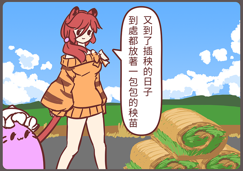 r7sundae's tweet photo. 「秧苗」
每次看耕耘機運作，它的箱子裡裝著滿滿的秧苗，都會想那些些「布」就這樣塞到土裡，是不是就靠腐爛去掉布? 結果研究後發現，那就是根呀，保濕則是靠根包住的土
#紅妻繪本 https://t.co/vjAvVvb0AS