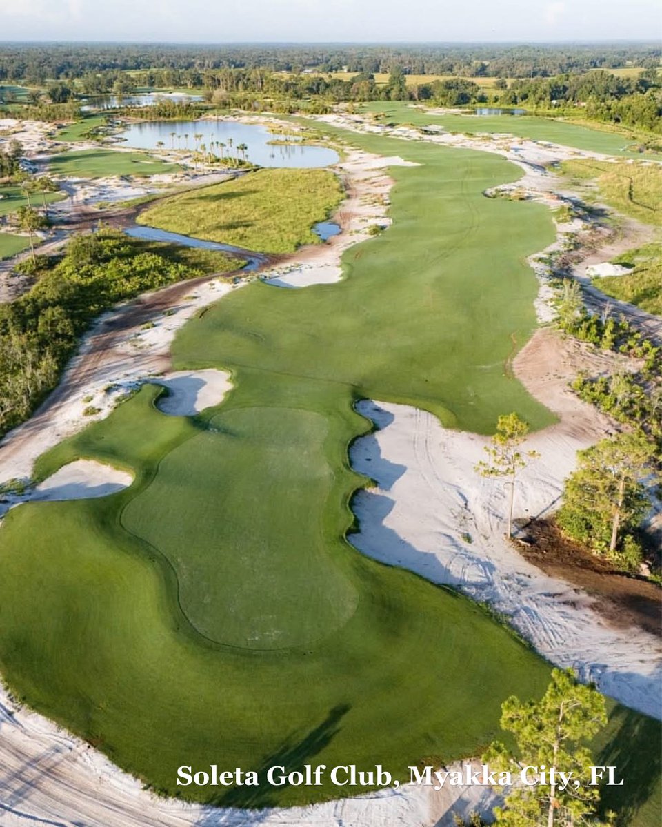 StarTurf_Farms's tweet photo. Celebrating #NationalGolfMonth with a closer look at Soleta Golf Club. ⛳️🌿 This certified Celebration Bermudagrass, offers near-instant applicability to establish quickly and thrive.

Visit https://t.co/dxGPIFr5l8 to see what we can do for your golf course. #KeepingFloridaGreen https://t.co/TK1ymoRiQX