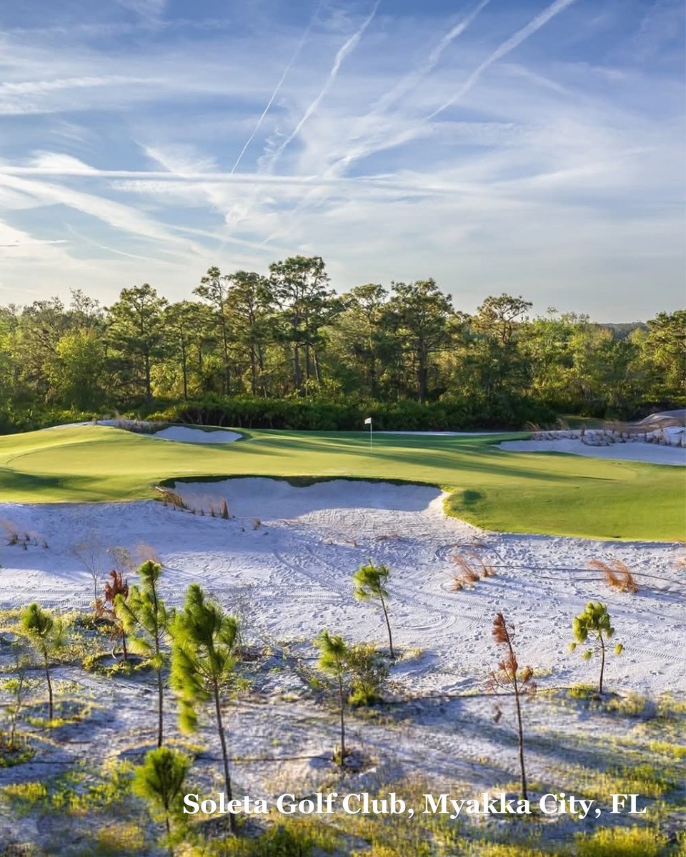 StarTurf_Farms's tweet photo. Celebrating #NationalGolfMonth with a closer look at Soleta Golf Club. ⛳️🌿 This certified Celebration Bermudagrass, offers near-instant applicability to establish quickly and thrive.

Visit https://t.co/dxGPIFr5l8 to see what we can do for your golf course. #KeepingFloridaGreen https://t.co/TK1ymoRiQX
