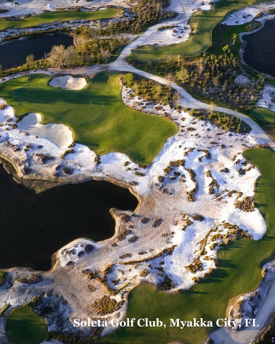 StarTurf_Farms's tweet photo. Celebrating #NationalGolfMonth with a closer look at Soleta Golf Club. ⛳️🌿 This certified Celebration Bermudagrass, offers near-instant applicability to establish quickly and thrive.

Visit https://t.co/dxGPIFr5l8 to see what we can do for your golf course. #KeepingFloridaGreen https://t.co/TK1ymoRiQX