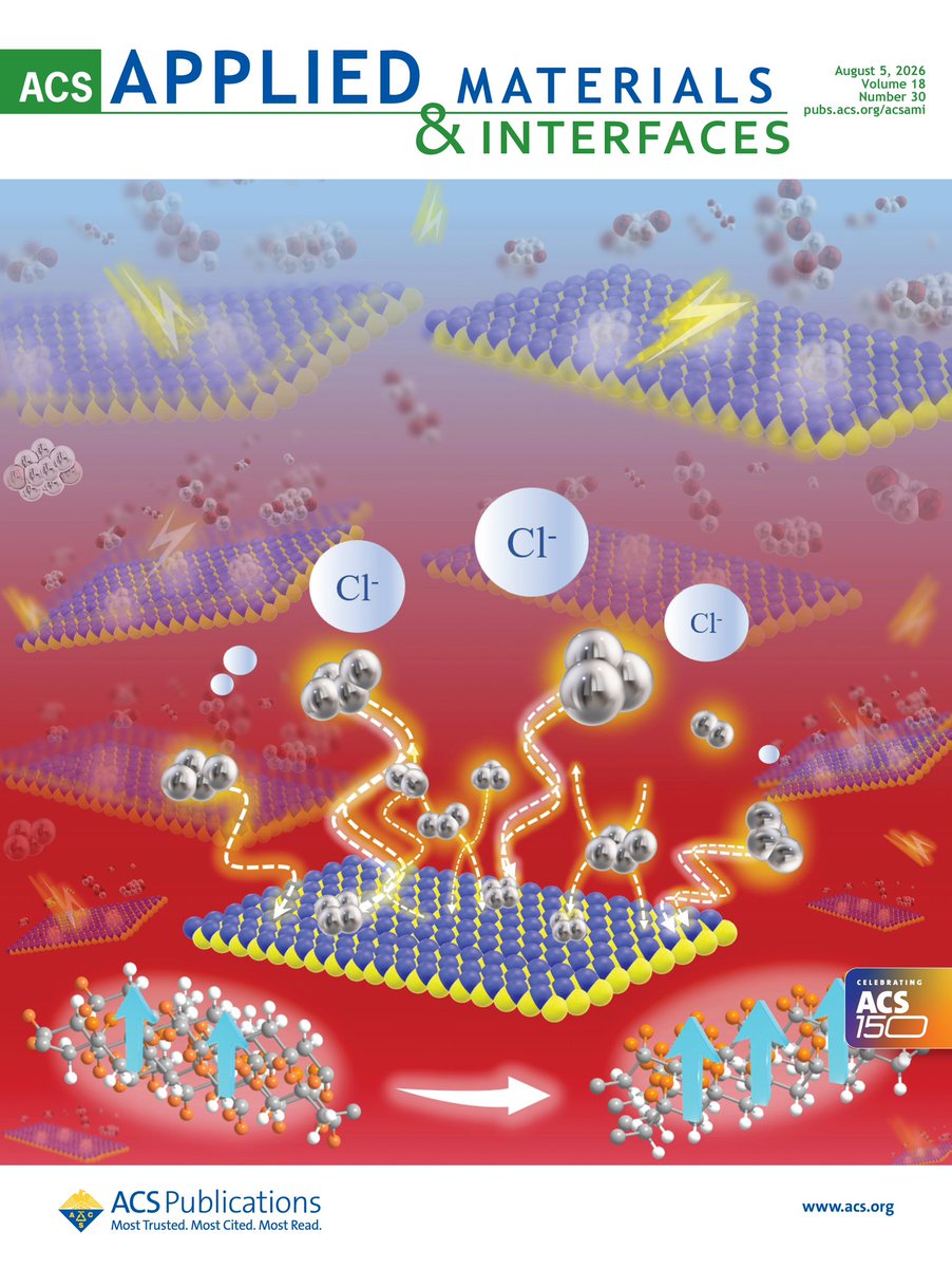 muller_group's tweet photo. A new issue of #ACS Applied Materials & Interfaces (@ACS_AMI) is live! On the #cover an #article about #Tuning #Piezoelectricity and #Pyroelectricity in Poly(vinylidene fluoride) through #Ionic #Liquid Anion-Size Directed #Polymorph and #Interface #Engineering https://t.co/ISpJZx9Uqa