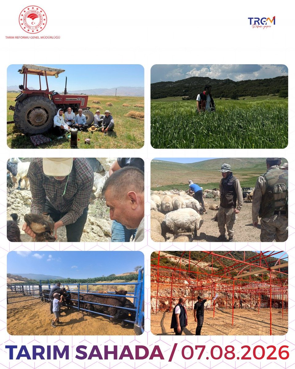 trgmresmi's tweet photo. #TarımSahada 8️⃣5️⃣. Buluşma 🤝

​🌾 Geleceğin Üretimini Sahada Birlikte Planlıyoruz! 🚜
​
"Cuma Buluşmaları" kapsamında bir kez daha personelimiz ile üreticilerimiz bir araya geldi. Görüşmelerde öne çıkan başlıklar;

📊 Tarımsal Üretim Planlaması: Bölgelerimizin toprak yapısına, su kaynaklarına ve iklim koşullarına en uygun, sürdürülebilir üretim modelleri değerlendirildi.
✅ Tarımsal Desteklemeler: Üreticilerimizin emeğini güçlendirecek güncel hibe, prim ve tarımsal destekleme modelleri hakkında detaylı bilgilendirmeler yapıldı.
🔥 Orman Yangınlarıyla Mücadele: Son dönemde insan kaynaklı artış gösteren orman yangınlarına karşı alınabilecek önleyici tedbirler, saha güvenliği ve yang��n sonrası yapılması gereken rehabilitasyon adımları çiftçilerimizle paylaşıldı.
​Ormanlarımızı korumak da tarımsal geleceğimizi güvenceye almak da hepimizin ortak sorumluluğu. 

Sahada alın teri döken tüm üreticilerimize ve çalışma arkadaşlarımıza teşekkür ederiz.

@TCTarim