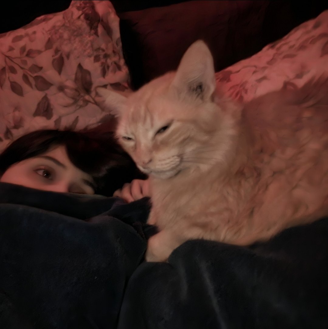 fehdubs's tweet photo. o céu ganhou um novo anjinho... foram 15 anos juntos, bichano. eu te amo muito, obg por tudo ❤️‍🩹
agora eles estão juntos novamente 🤍 https://t.co/Sv90rsKcw0