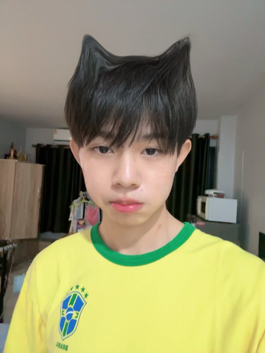 usedgen3ii's tweet photo. meowwwๆ https://t.co/8g1D8eUZuv
