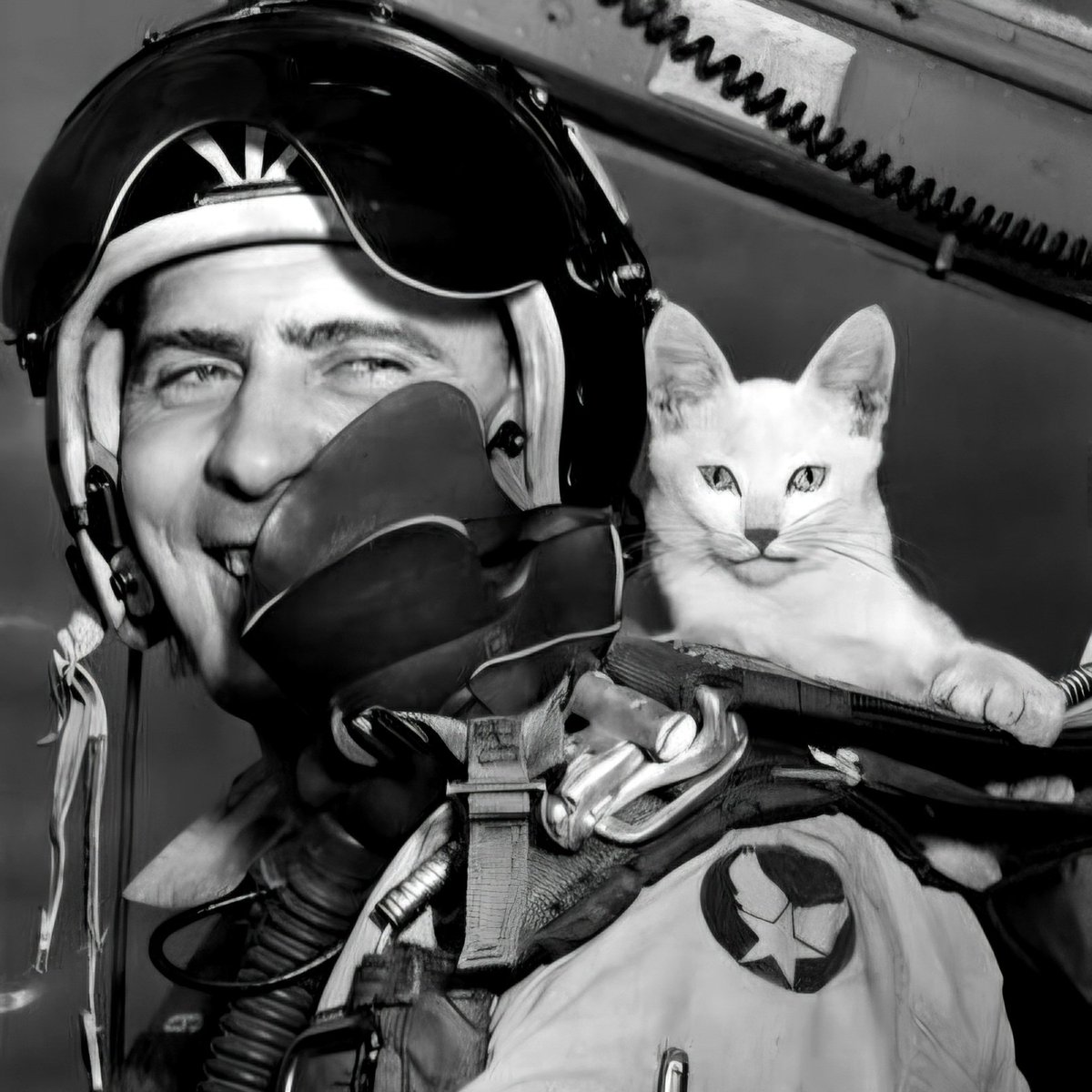 RealAirPower1's tweet photo. This was the early '50s, before astronauts ever reached space. Scientists wanted to know how mammals would react to short bursts of zero G, so a few very confused felines found themselves along for the ride. The cat program was short-lived and was soon replaced by other animals that were considered more "useful" for biomedical research. Still, it's one of the strangest chapters in the early Space Age.

Imagine explaining that to your cat 😄 2/2