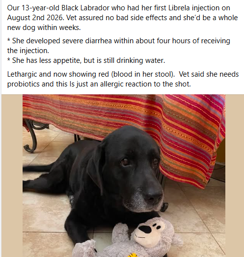 badpetmeds's tweet photo. Hope she gets well soon. 😢
#Librela #SayNoToLibrela #RecallLibrela https://t.co/gxeX2C0lJl