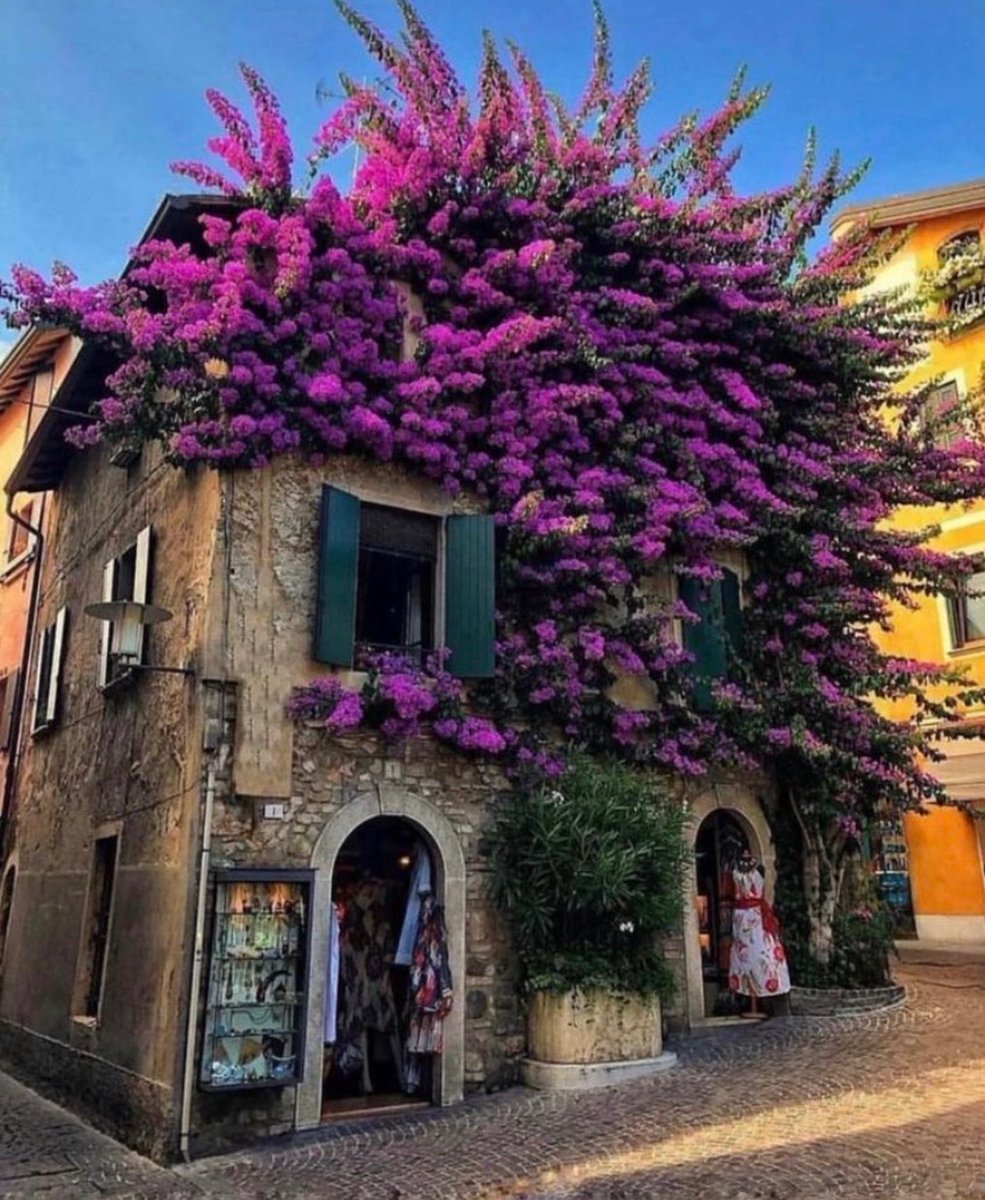 W0rld2026's tweet photo. Sirmione, Italy 🇮🇹 https://t.co/OwpYBEobUa