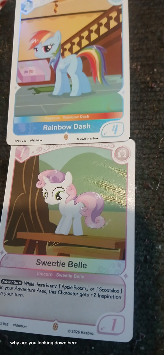 Docponyjones's tweet photo. Pony butts https://t.co/jrvhTVPK3k